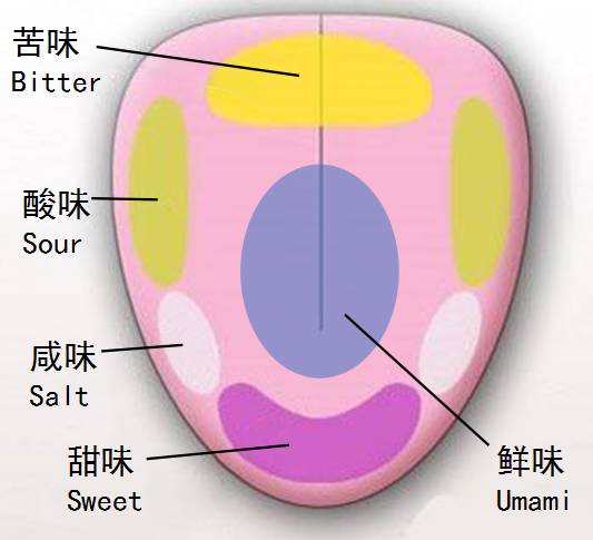 我们为什么爱吃甜食